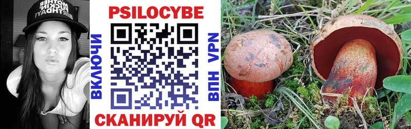 Псилоцибиновые грибы MAGIC MUSHROOMS  закладки  Чердынь 